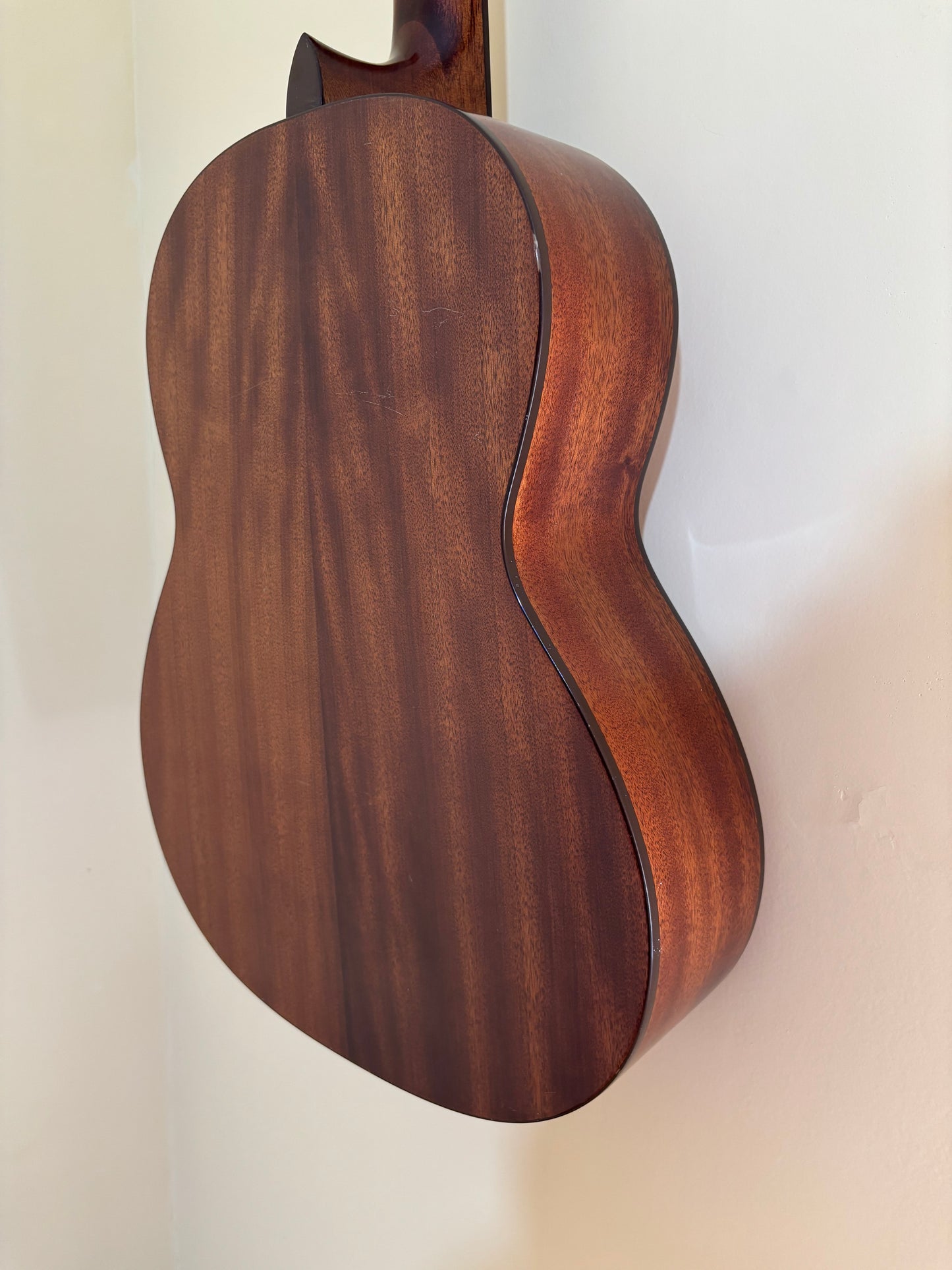 Cort Guitar CCP-10NS