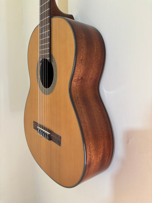 Cort Guitar CCP-10NS