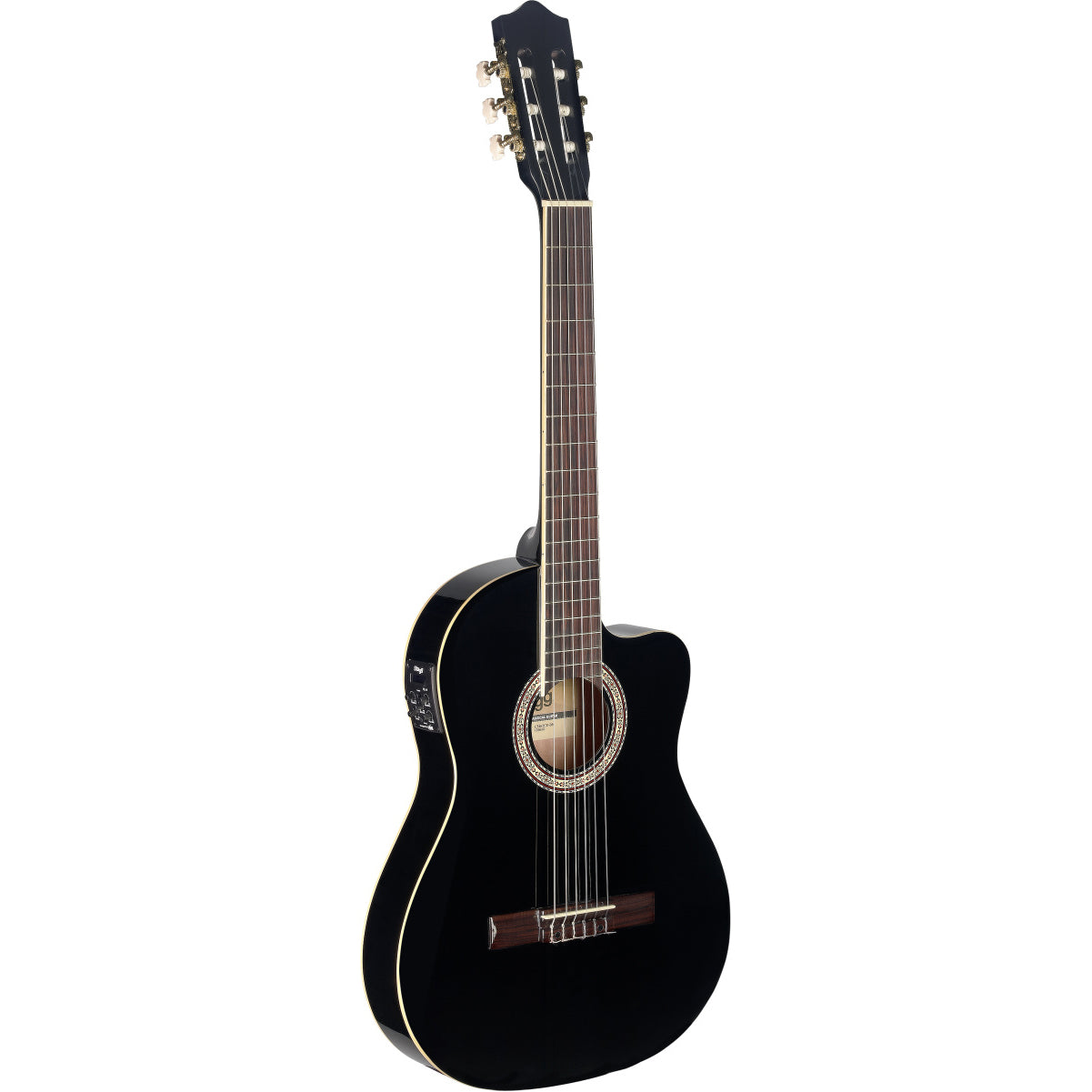 Electro-Classic Guitar