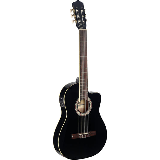 Electro-Classic Guitar