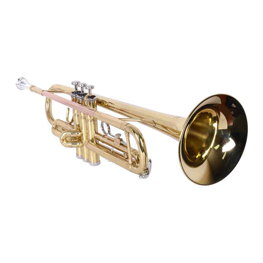 TRUMPET SCORPIONS