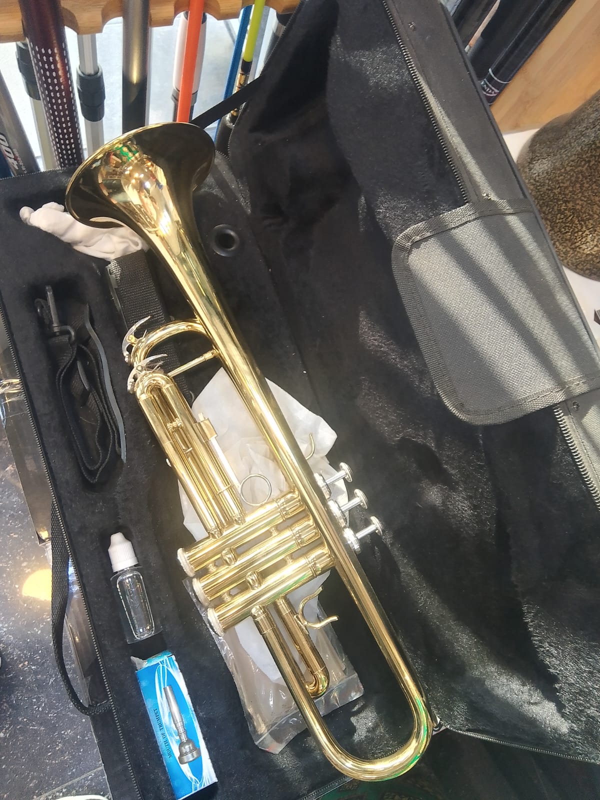 TRUMPET SCORPIONS