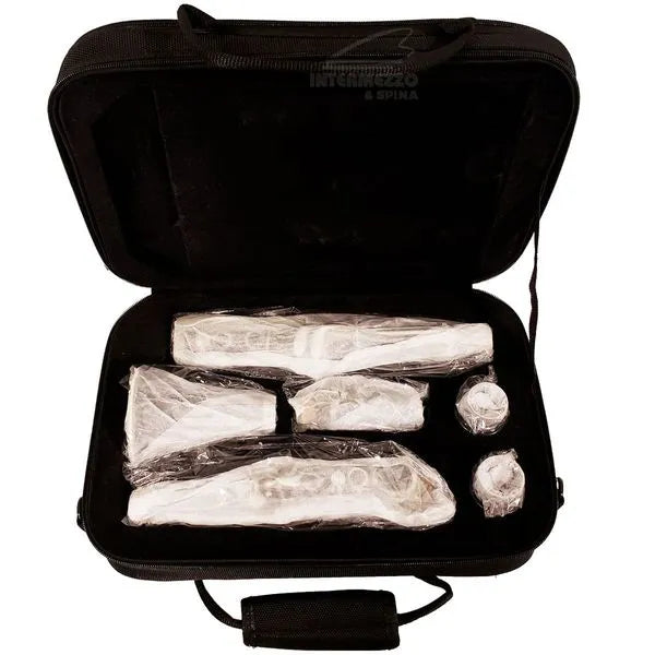 EAGLE CLARINET