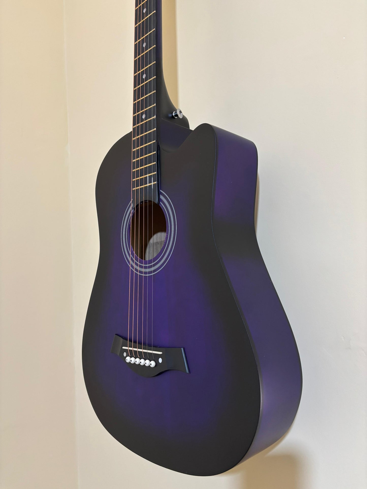 ACOUSTIC KARL SCHNEIDER GUITAR