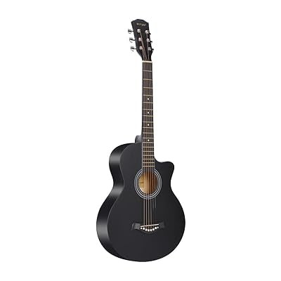ACOUSTIC KARL SCHNEIDER GUITAR