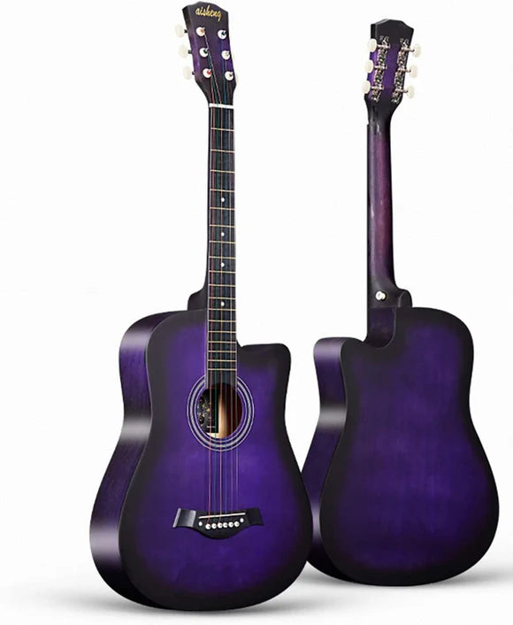 ACOUSTIC KARL SCHNEIDER GUITAR