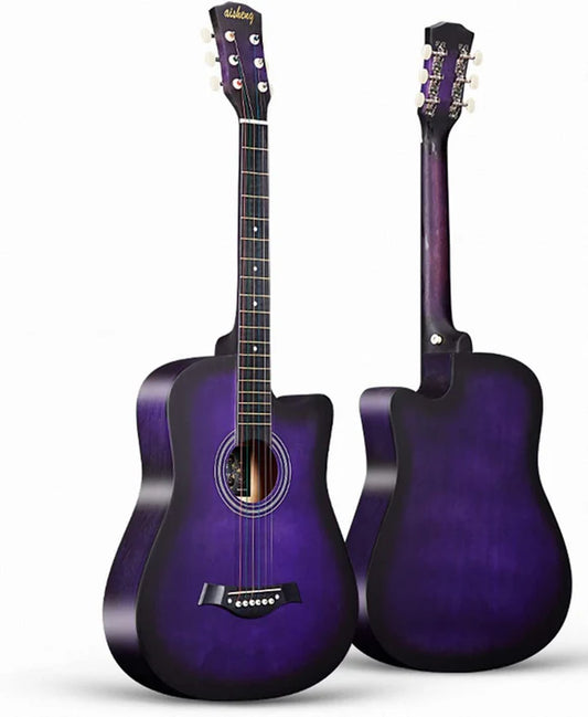 ACOUSTIC KARL SCHNEIDER GUITAR
