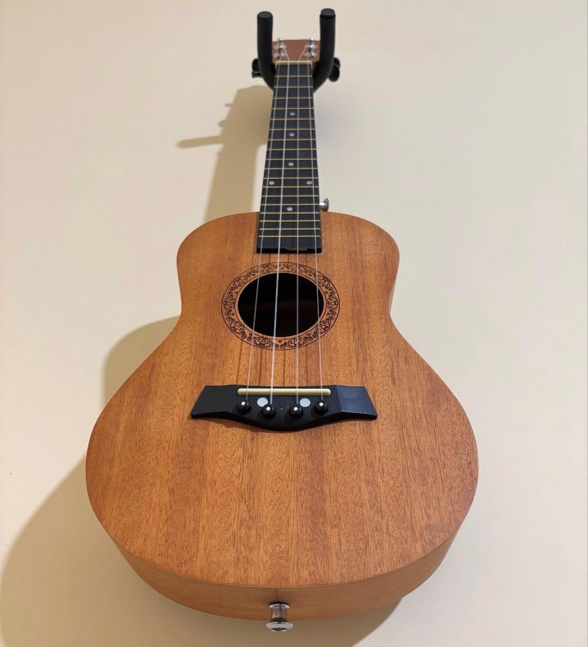 Ukulele Package